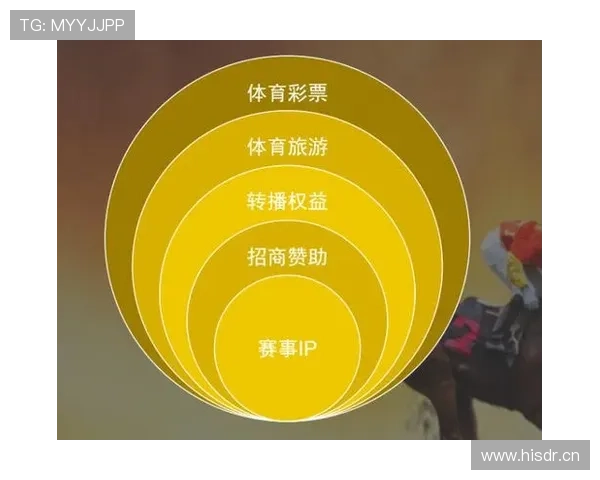 体育联赛的启示（体育联赛的启示和感悟）sports